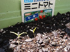t_DSC05878.jpg